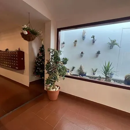 Molton Tenerife 1 Appartamento Los Cristianos (Tenerife)